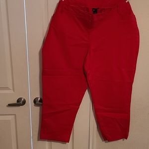 Lane Bryant Trousers